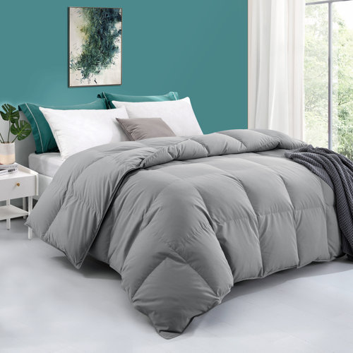 Alwyn Home 600in³/oz Fill Power All Season Down Blend Down Comforter